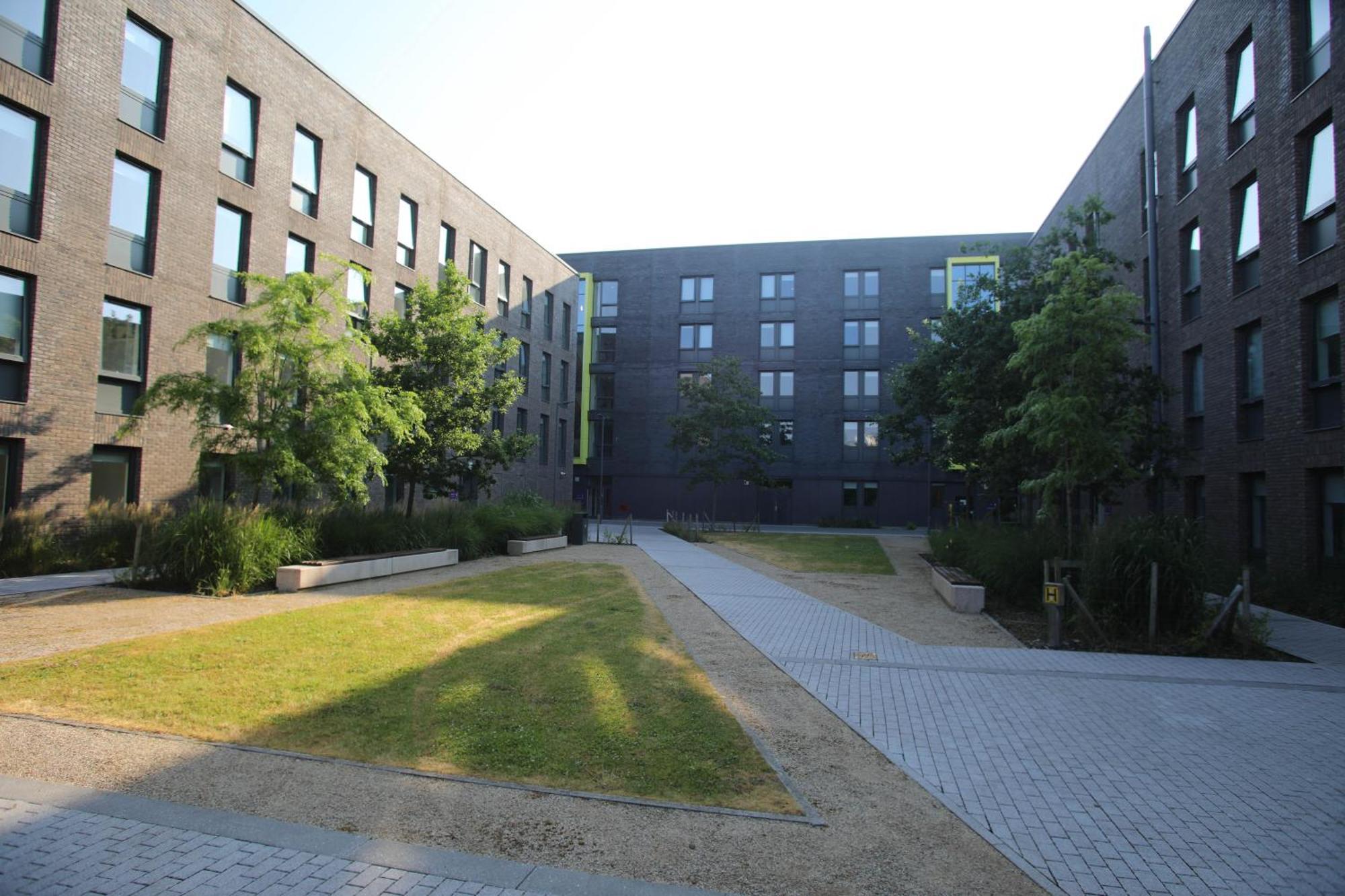 Goldcrest Village Rooms University Of กัลเวย์ ภายนอก รูปภาพ